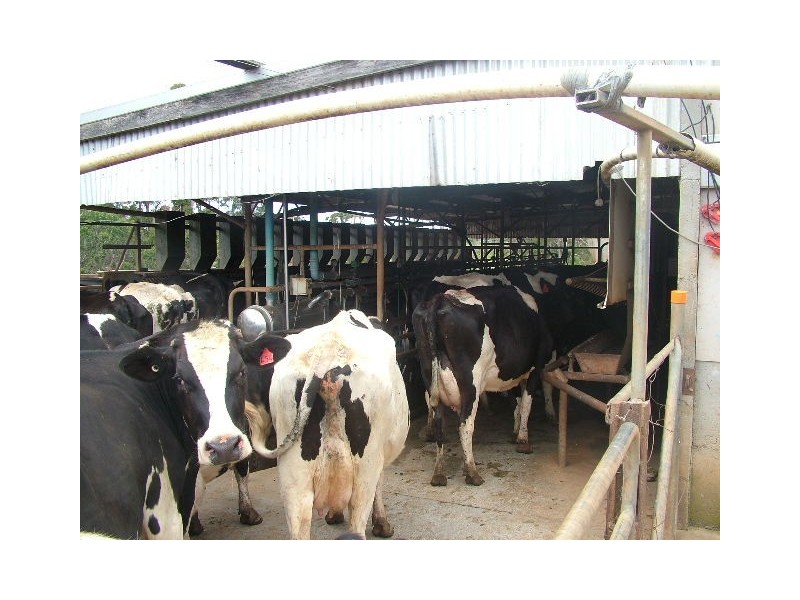 359 Cuprona Road, Cuprona TAS 7316