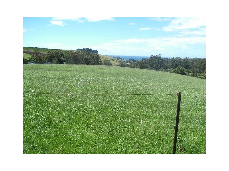 359 Cuprona Road, Cuprona TAS 7316