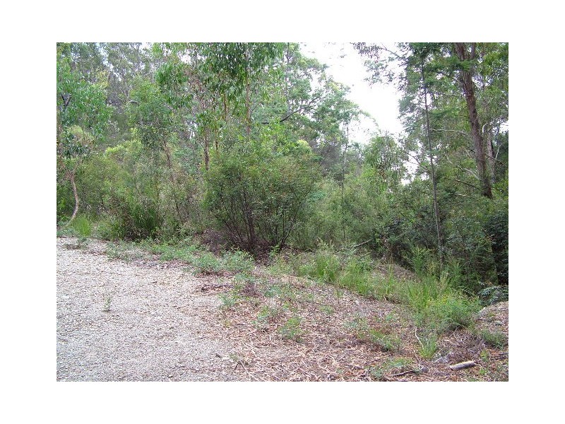 131 Cuprona Road, Heybridge TAS 7316