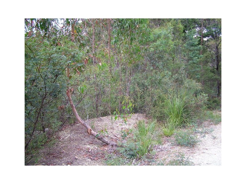 131 Cuprona Road, Heybridge TAS 7316
