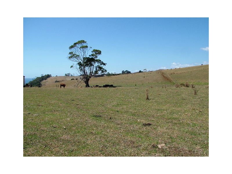 177/179  Zig Zag Road, Sulphur Creek TAS 7316