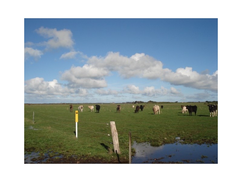 . North Road, King Island TAS 7256