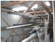 10 Edward Street, King Island TAS 7256