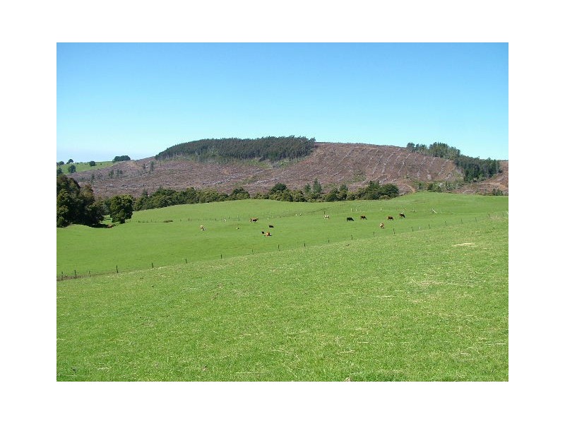 119  St Mary’s Road, Tewkesbury TAS 7321