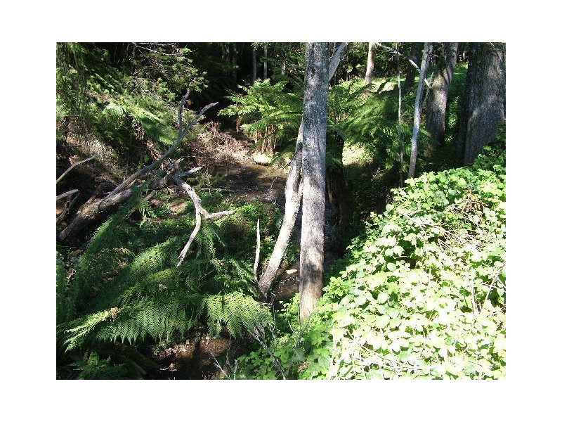 119  St Mary’s Road, Tewkesbury TAS 7321