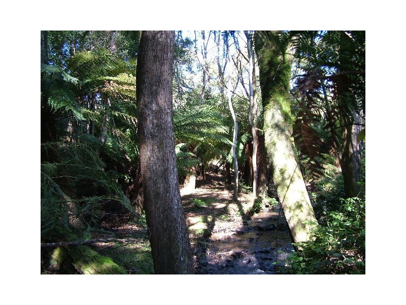 119  St Mary’s Road, Tewkesbury TAS 7321