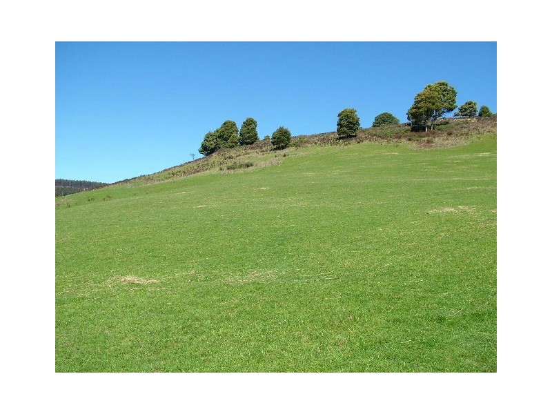 119  St Mary’s Road, Tewkesbury TAS 7321