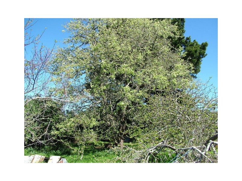 119  St Mary’s Road, Tewkesbury TAS 7321