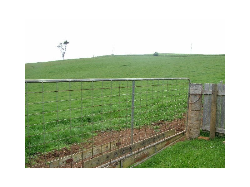 1036 Mount Hicks Road, Mount Hicks TAS 7325