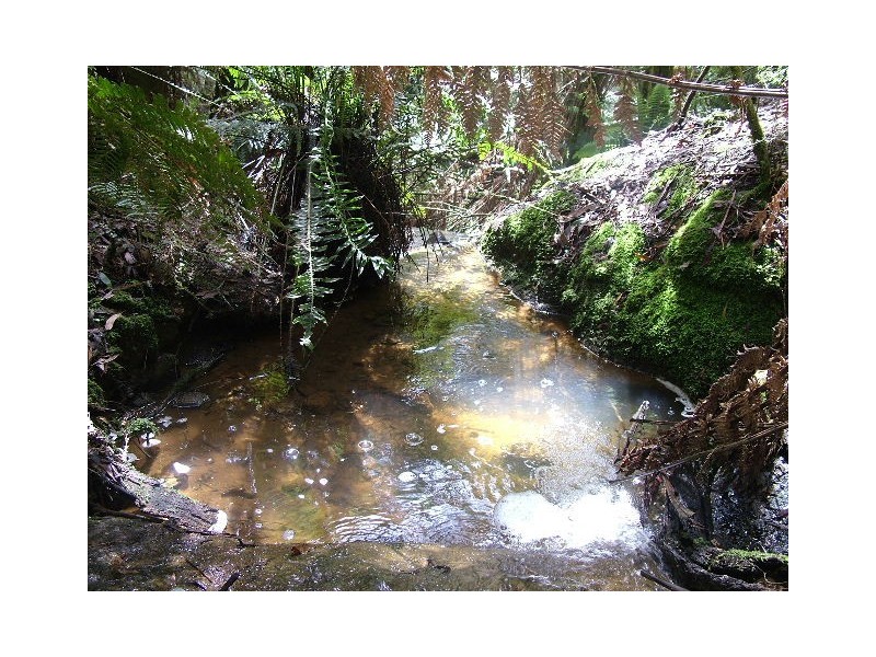 1036 Mount Hicks Road, Mount Hicks TAS 7325