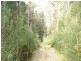 . Park Street, Strahan TAS 7468