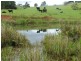 1036 Mount Hicks Road, Mount Hicks TAS 7325