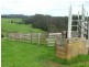 1036 Mount Hicks Road, Mount Hicks TAS 7325