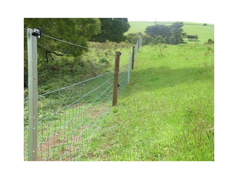 1036 Mount Hicks Road, Mount Hicks TAS 7325