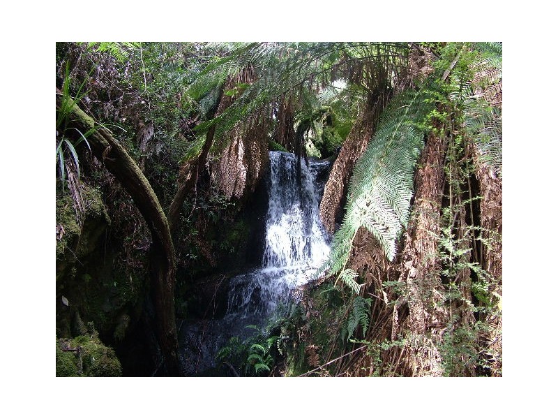 1036 Mount Hicks Road, Mount Hicks TAS 7325