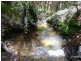 1036 Mount Hicks Road, Mount Hicks TAS 7325
