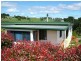 1036 Mount Hicks Road, Mount Hicks TAS 7325