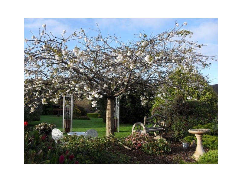 265 Fern Glade Road, Burnie TAS 7320
