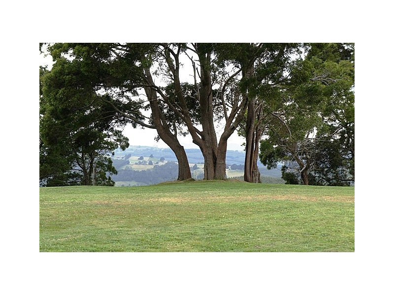 765 East Yolla Road, Yolla TAS 7325