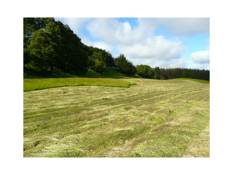 765 East Yolla Road, Yolla TAS 7325