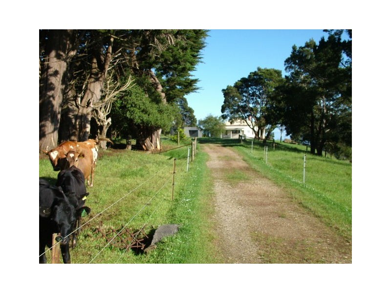 765 East Yolla Road, Yolla TAS 7325