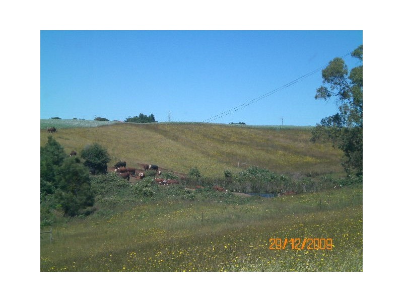 52 – 60  Dallas Road, Somerset TAS 7322