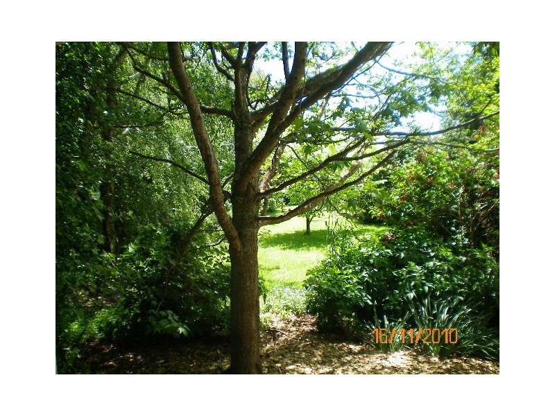 52 – 60  Dallas Road, Somerset TAS 7322