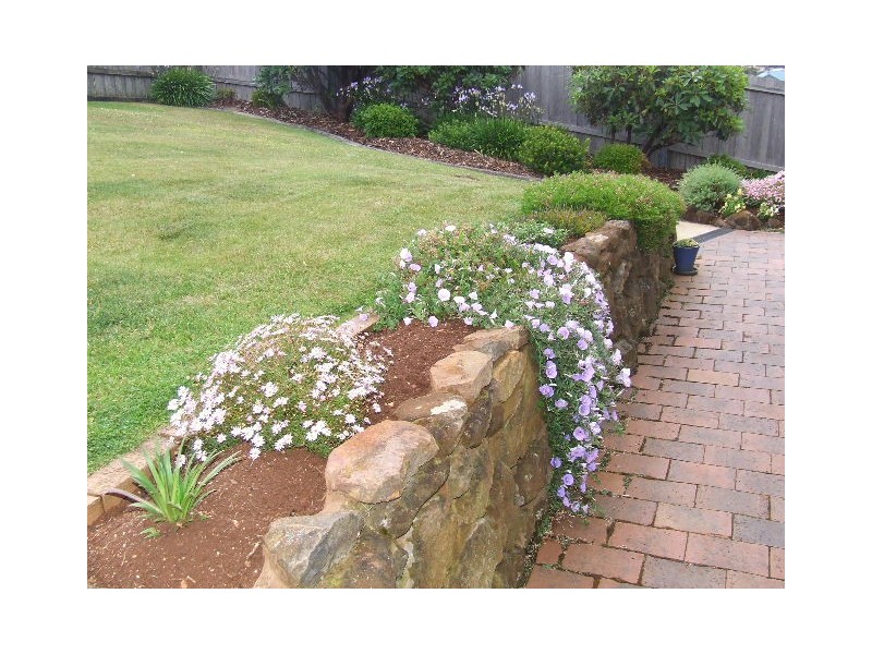 42  Futuna Avenue, Burnie TAS 7320