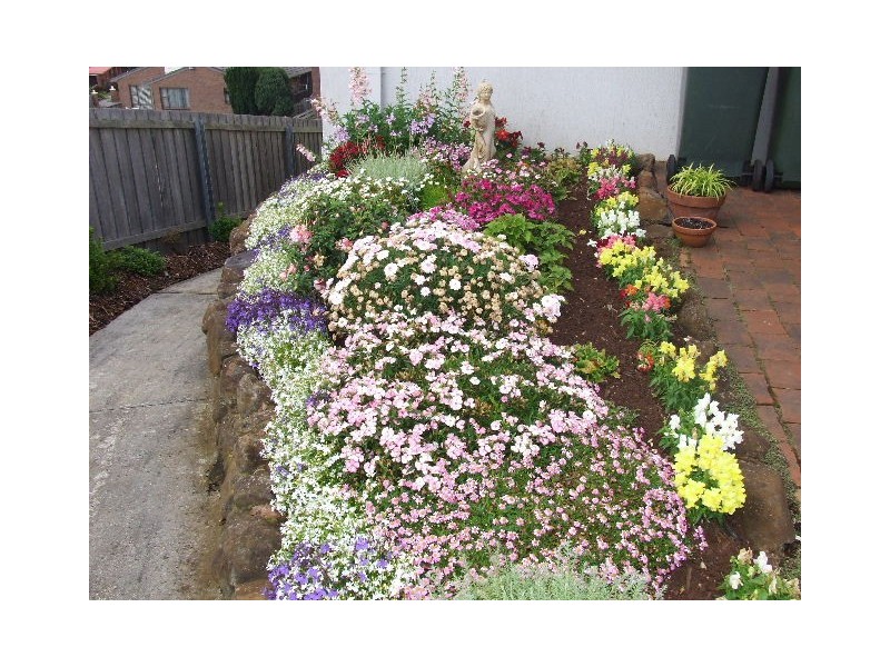 42  Futuna Avenue, Burnie TAS 7320