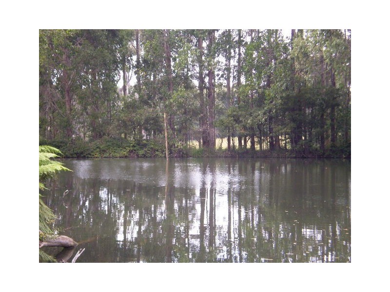 1159 Murchison Highway, Elliott TAS 7325