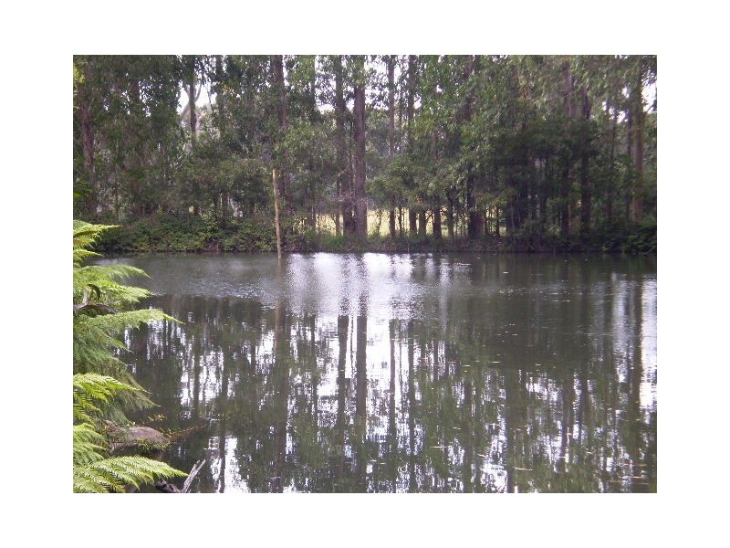 1159 Murchison Highway, Elliott TAS 7325