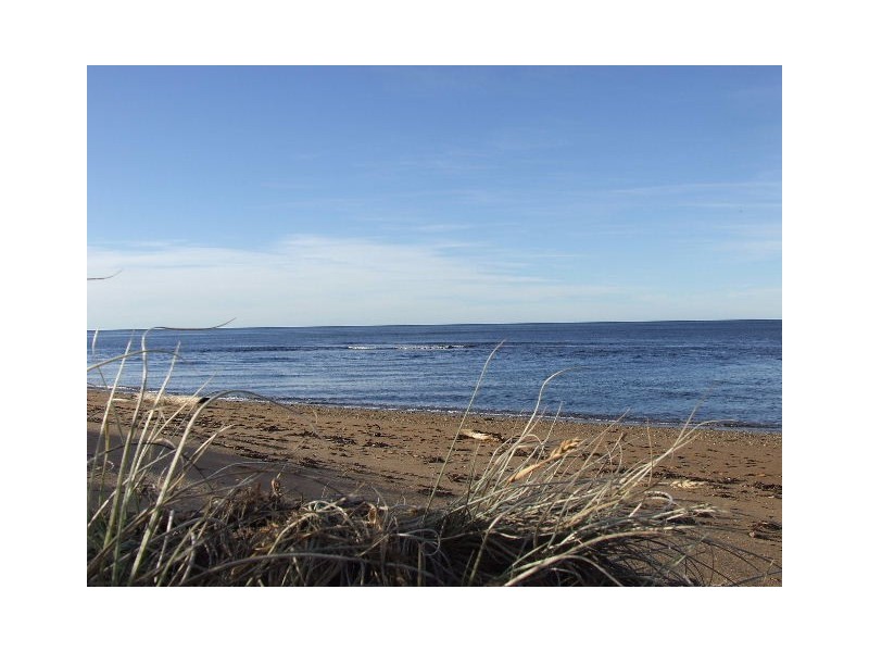 4  Haig Street,, Heybridge TAS 7316