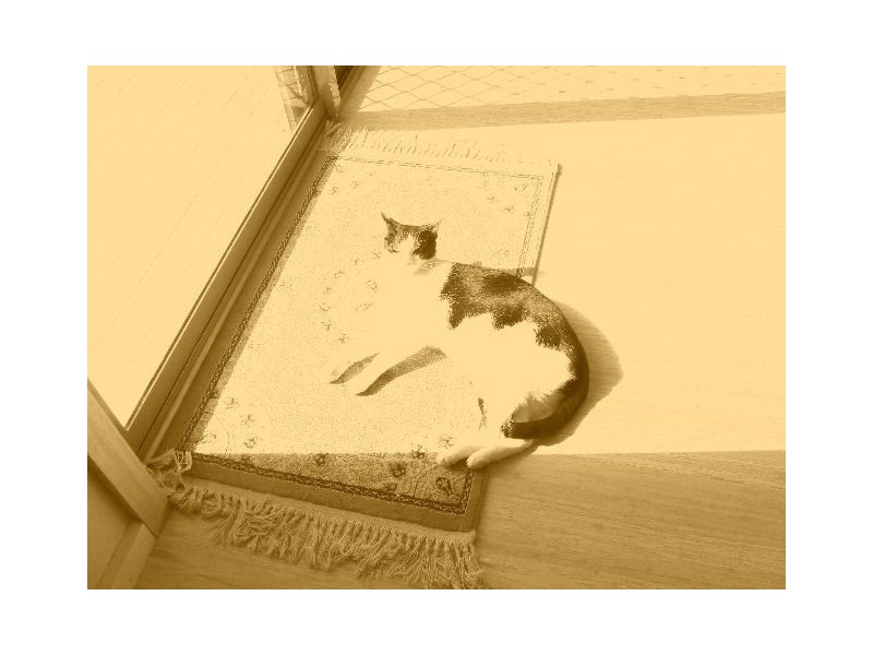 625 Upper Stowport Road, Stowport TAS 7321