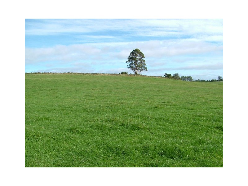 1212 South Riana Road, South Riana TAS 7316