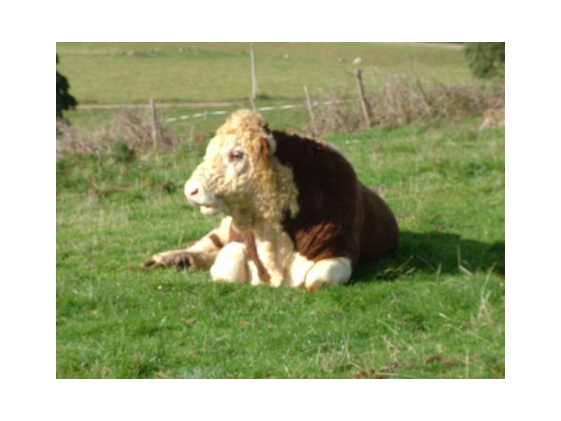 1212 South Riana Road, South Riana TAS 7316