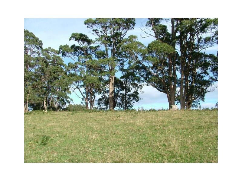 1212 South Riana Road, South Riana TAS 7316