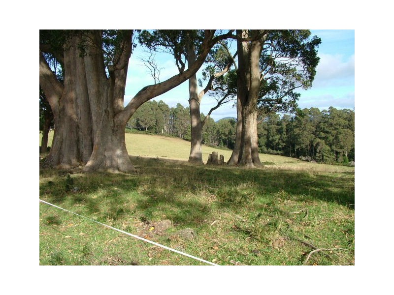 1212 South Riana Road, South Riana TAS 7316