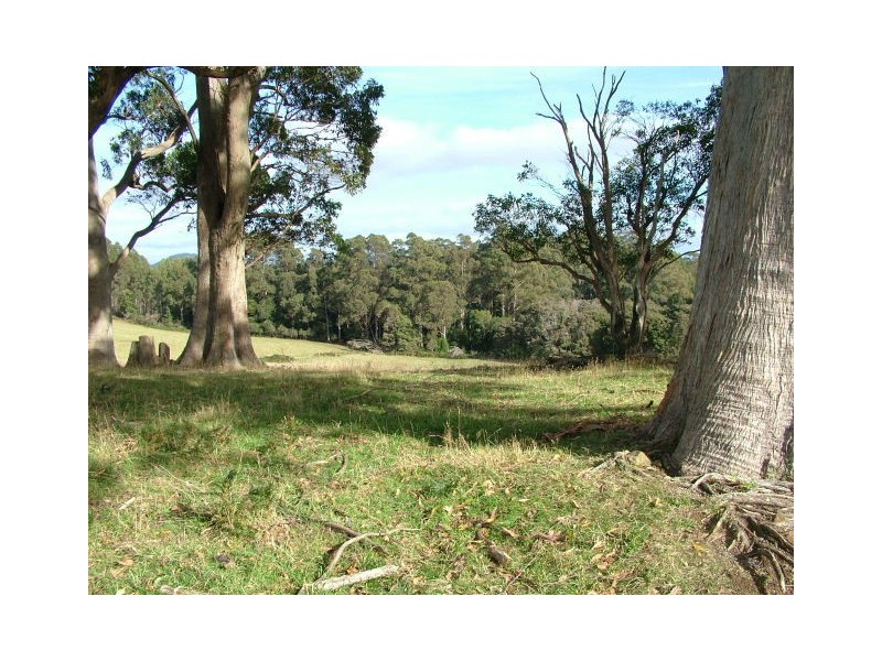 1212 South Riana Road, South Riana TAS 7316