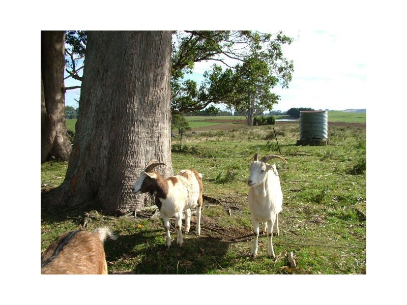 1212 South Riana Road, South Riana TAS 7316