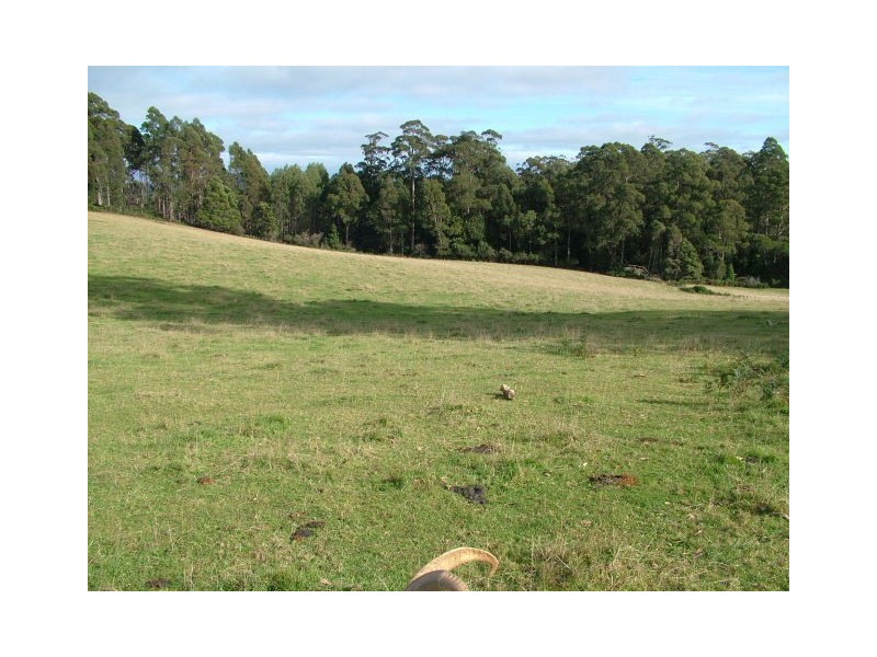 1212 South Riana Road, South Riana TAS 7316