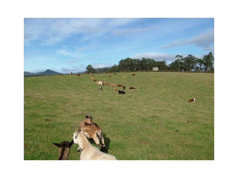 1212 South Riana Road, South Riana TAS 7316