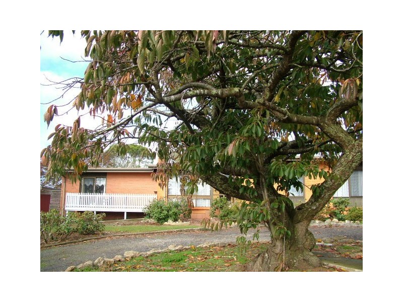 1017 Cuprona Road, West Pine TAS 7316