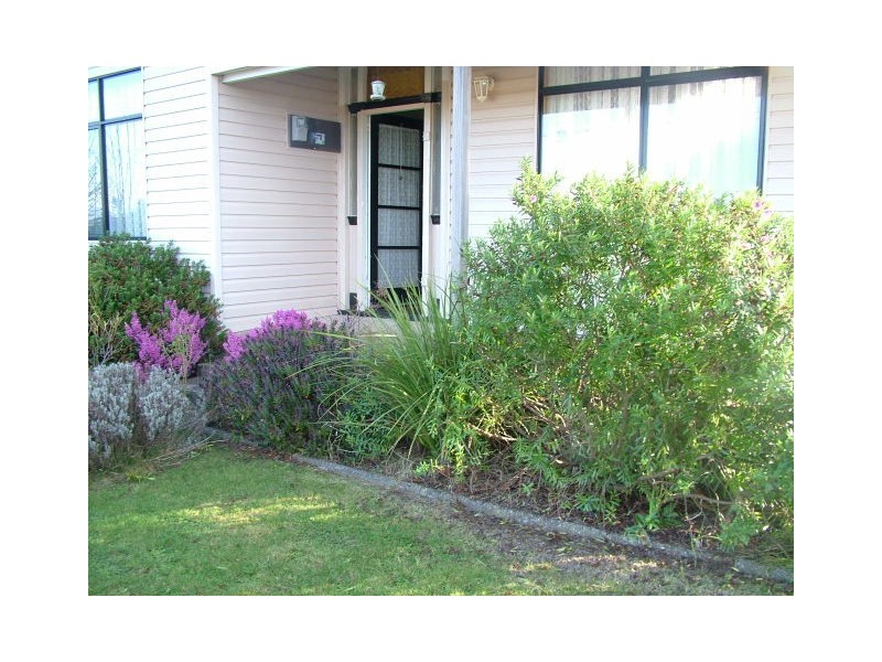 942 Ridgley Highway, Ridgley TAS 7321