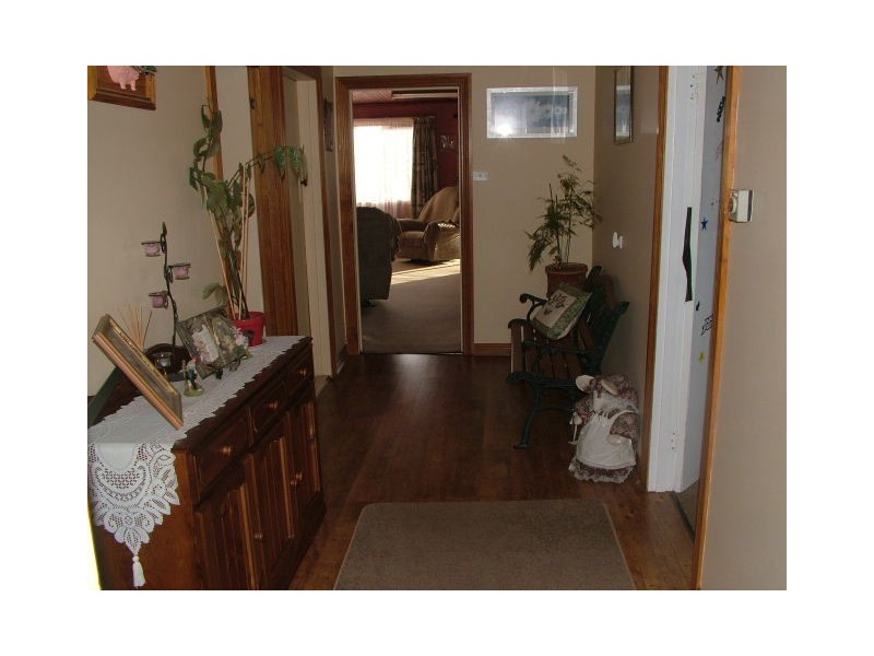 942 Ridgley Highway, Ridgley TAS 7321