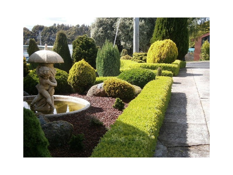 6 Pattison Court, Burnie TAS 7320