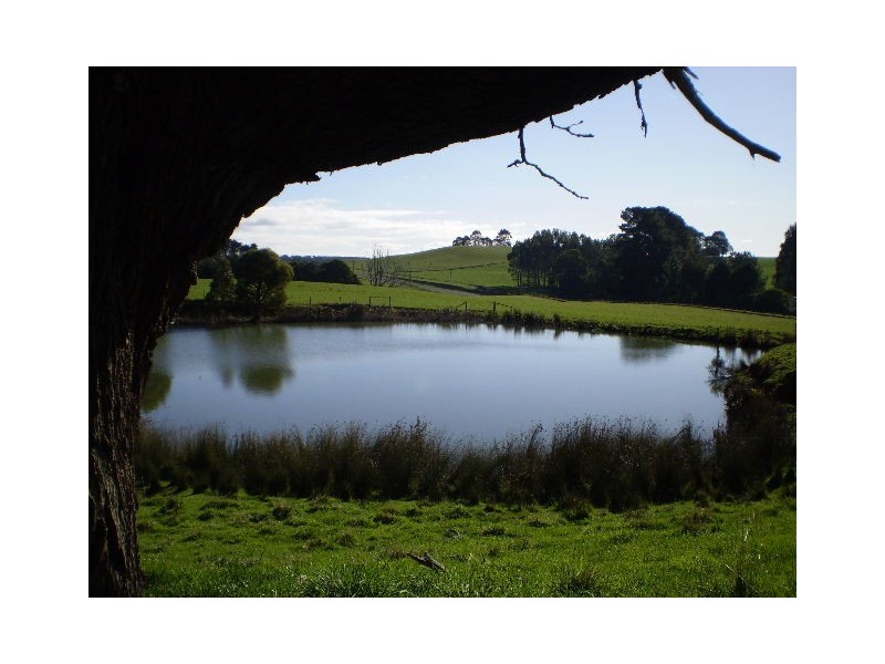 1401 Murchison Highway, Yolla TAS 7325