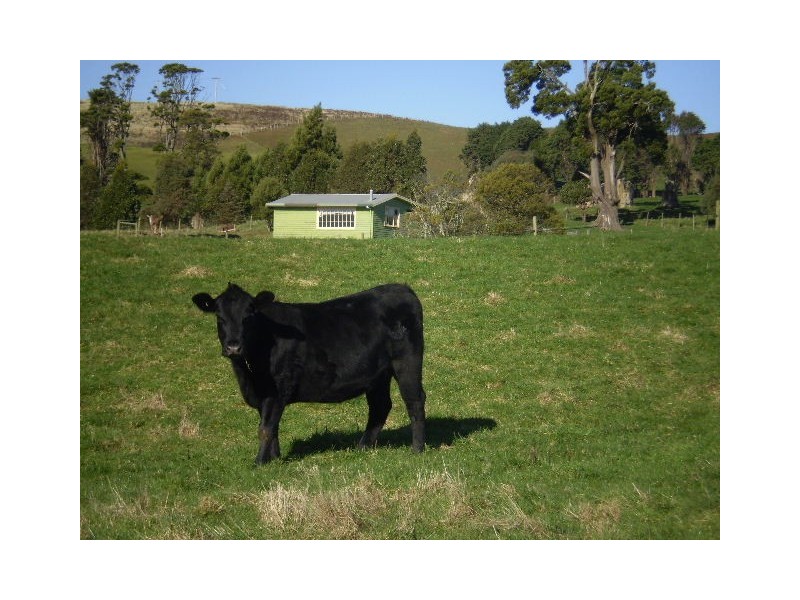 1401 Murchison Highway, Yolla TAS 7325