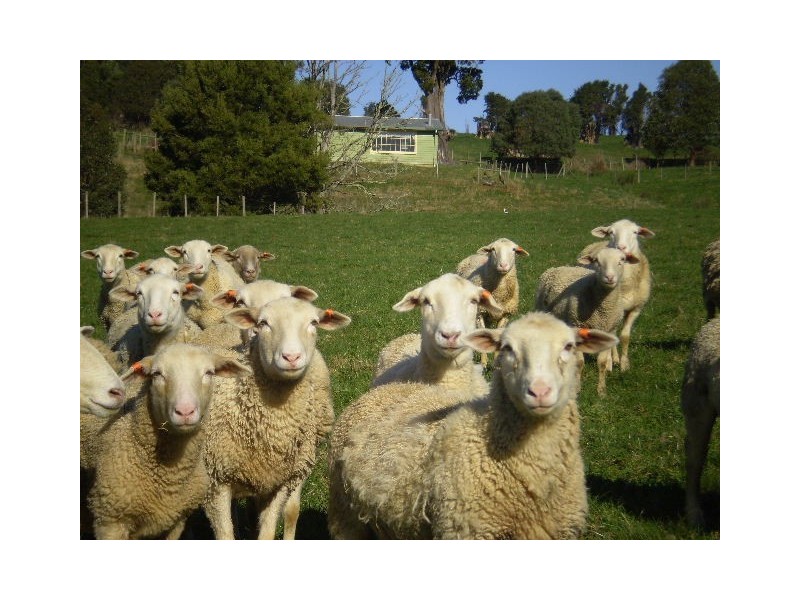 1401 Murchison Highway, Yolla TAS 7325