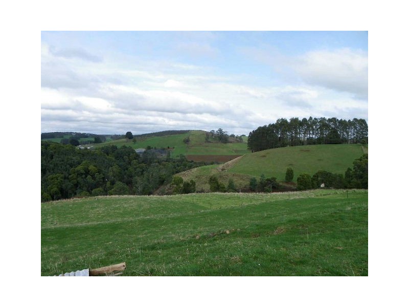 293 Metaira Road, Ridgley TAS 7321