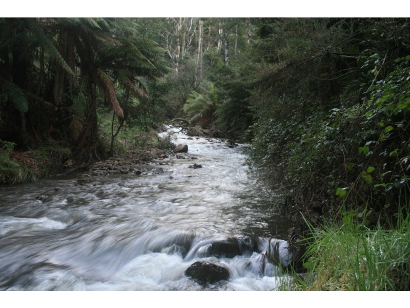 293 Metaira Road, Ridgley TAS 7321